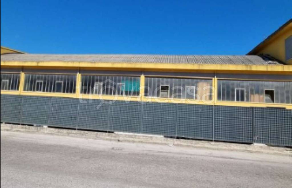 immagine annuncio 5 di 6