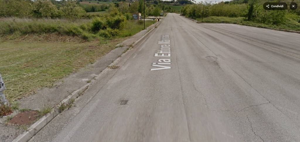 immagine annuncio 12 di 14