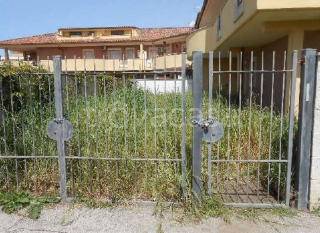 immagine annuncio 3 di 11