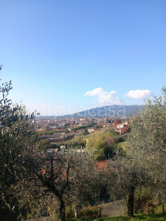 immagine annuncio 3 di 7