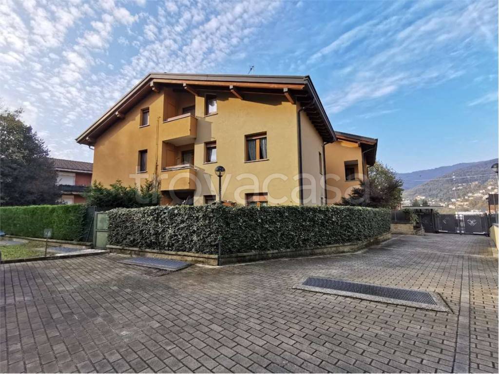 immagine annuncio 6 di 7