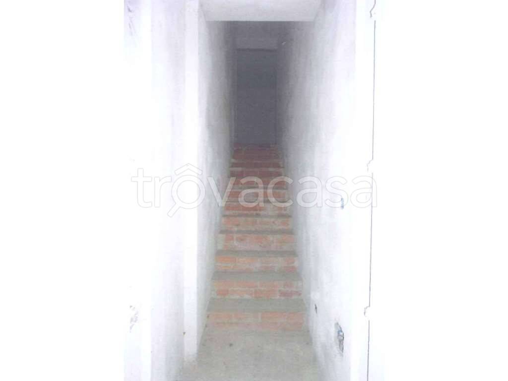 immagine annuncio 6 di 14