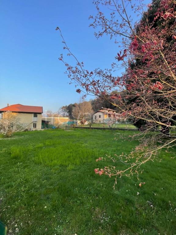 immagine annuncio 3 di 7