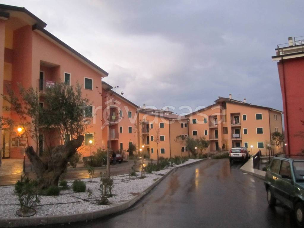 immagine annuncio 1 di 2