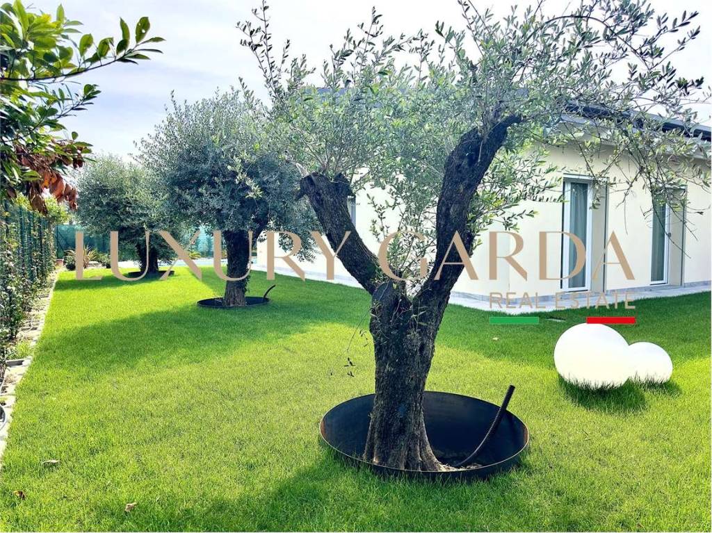 immagine annuncio 2 di 13