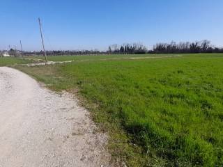 Terreno agricolo in vendita a sommacampagna via custoza