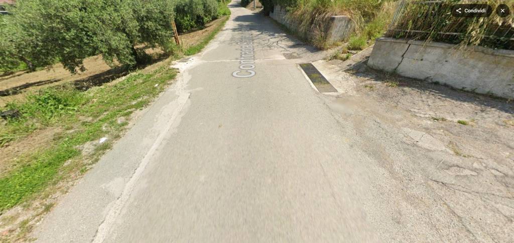 immagine annuncio 6 di 14