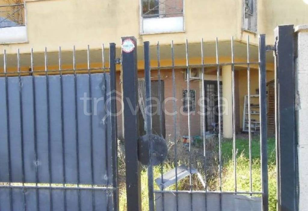 immagine annuncio 3 di 11