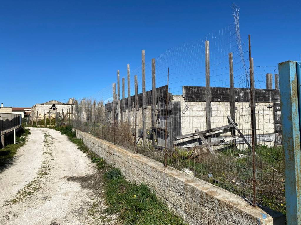immagine annuncio 9 di 11