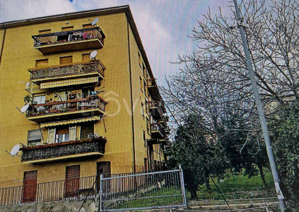 immagine annuncio 2 di 13