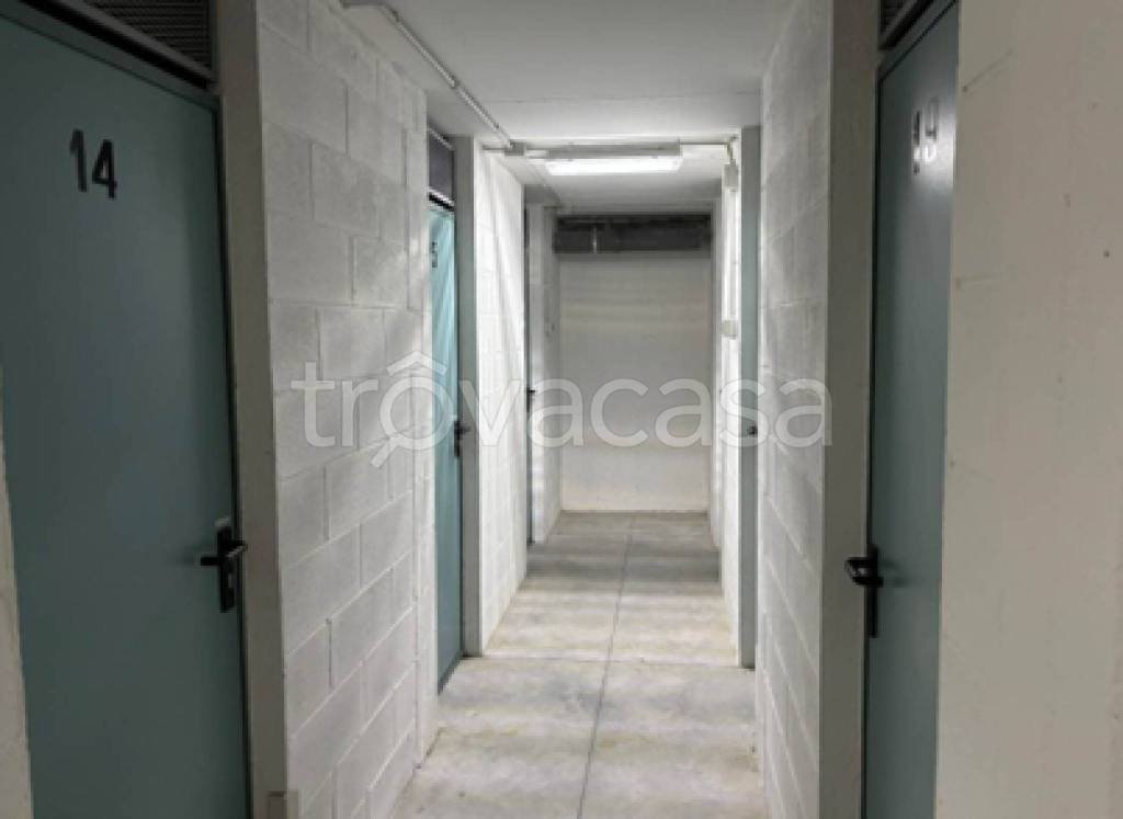 immagine annuncio 2 di 12