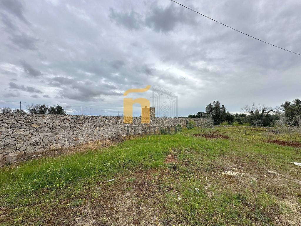 immagine annuncio 9 di 13