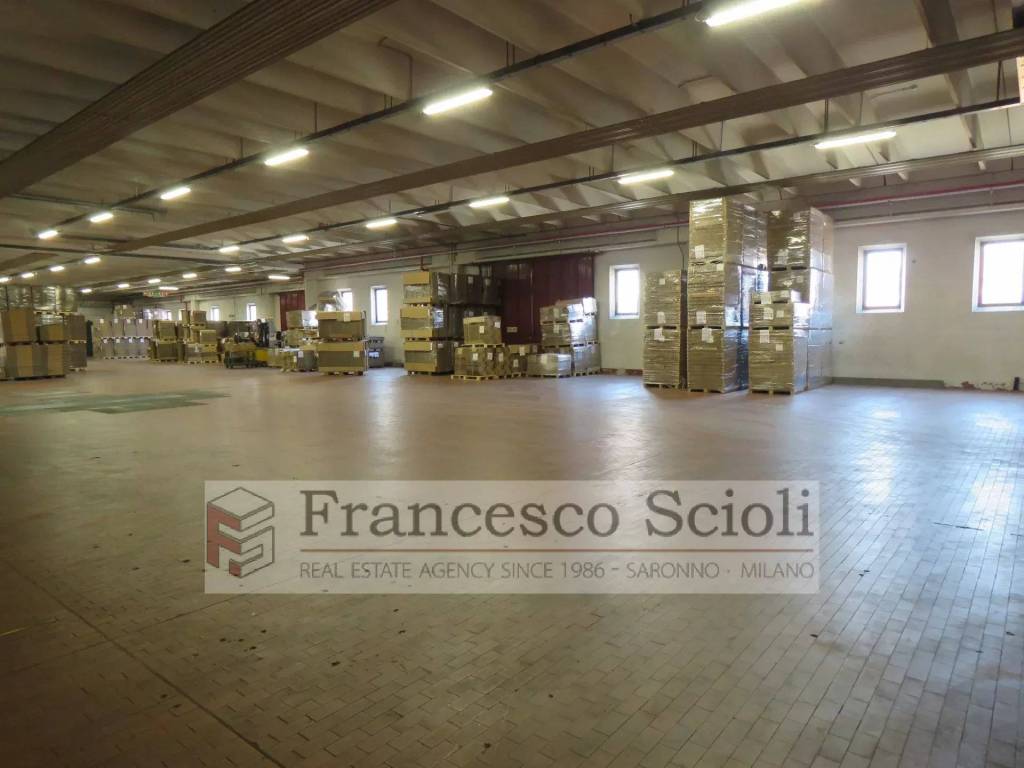 immagine annuncio 2 di 12