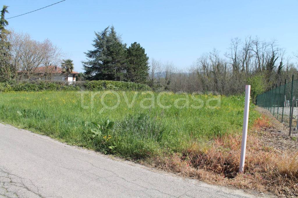 immagine annuncio 5 di 9
