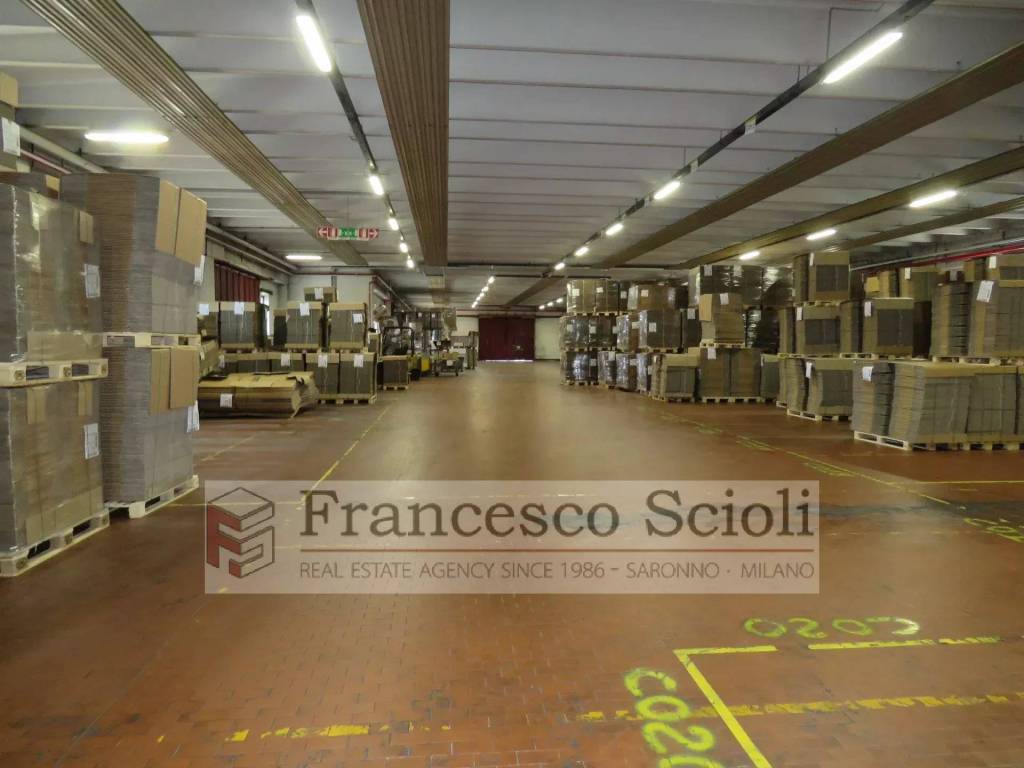 immagine annuncio 3 di 12