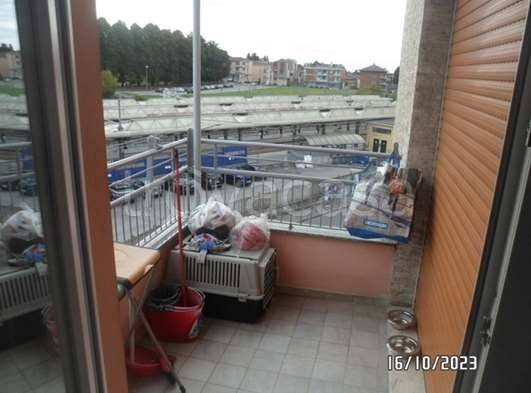 immagine annuncio 8 di 14