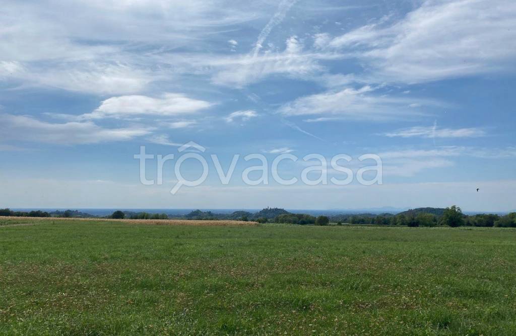 immagine annuncio 11 di 12