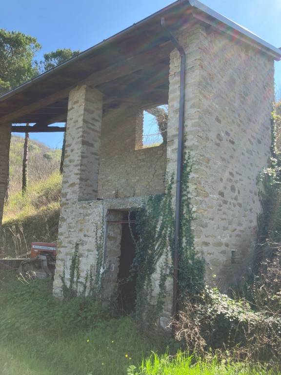 immagine annuncio 8 di 12