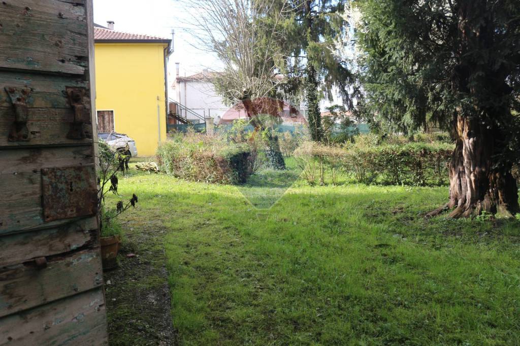 immagine annuncio 7 di 13