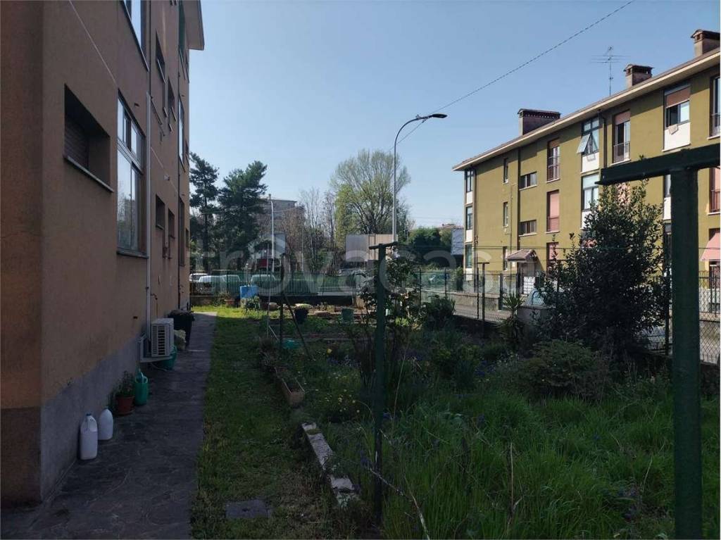 immagine annuncio 12 di 15