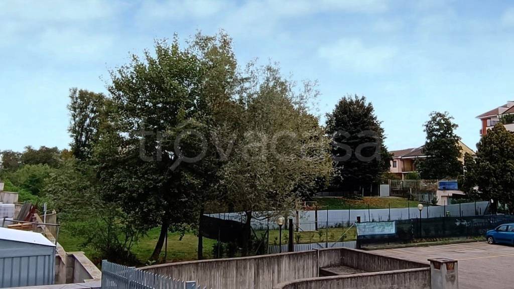 immagine annuncio 11 di 14