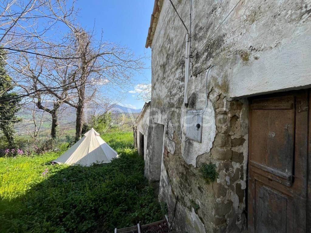 immagine annuncio 5 di 9