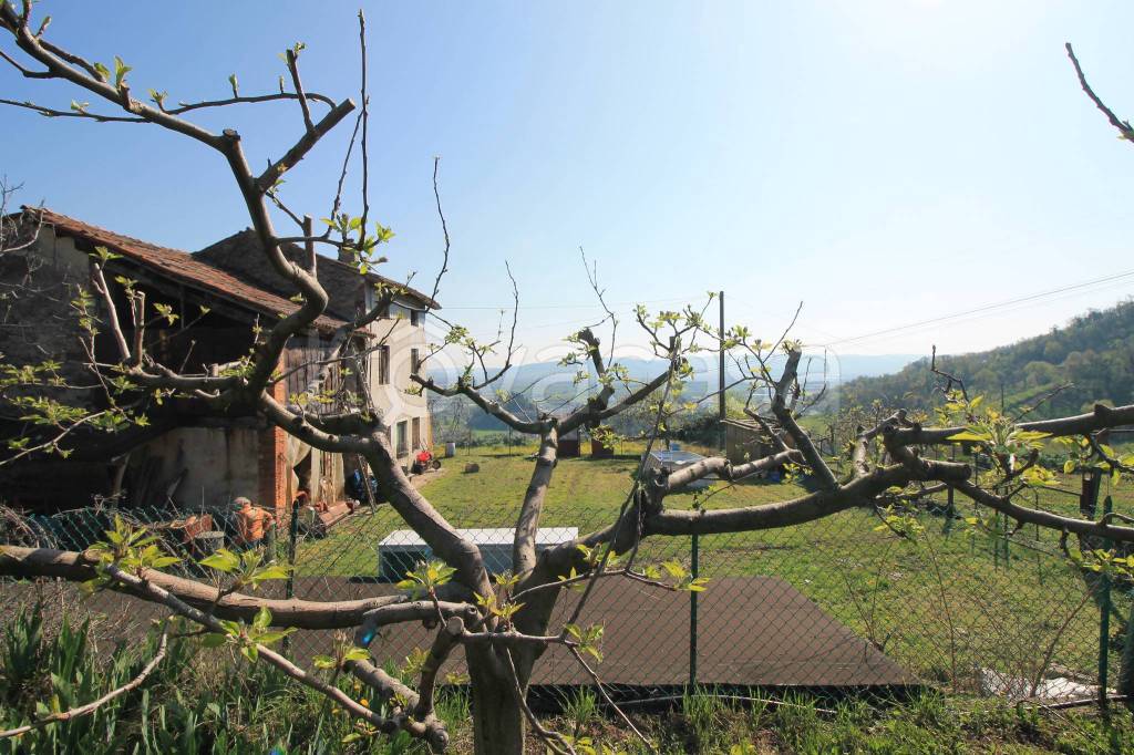 immagine annuncio 5 di 11