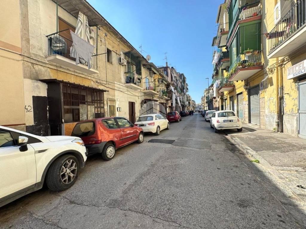 immagine annuncio 11 di 12