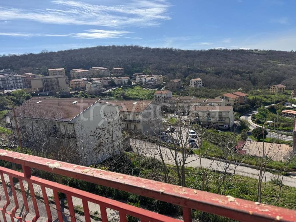 immagine annuncio 9 di 14