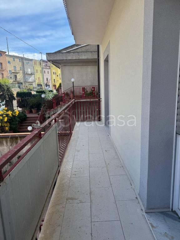 immagine annuncio 11 di 14