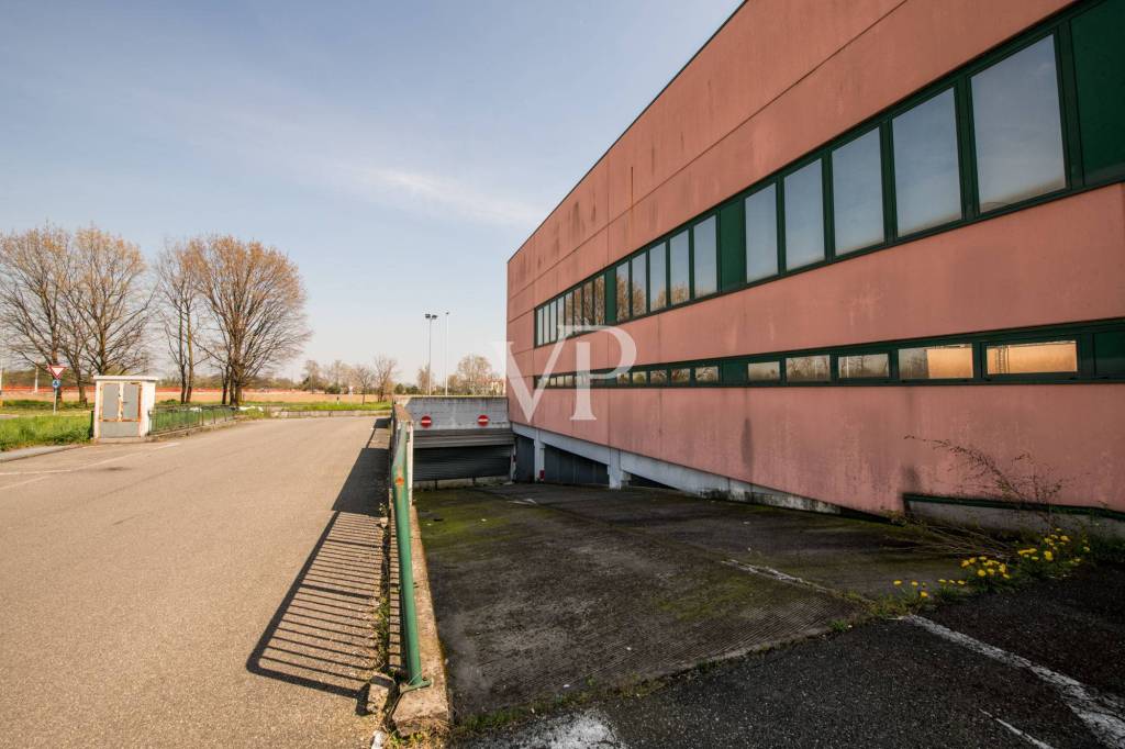 immagine annuncio 6 di 15