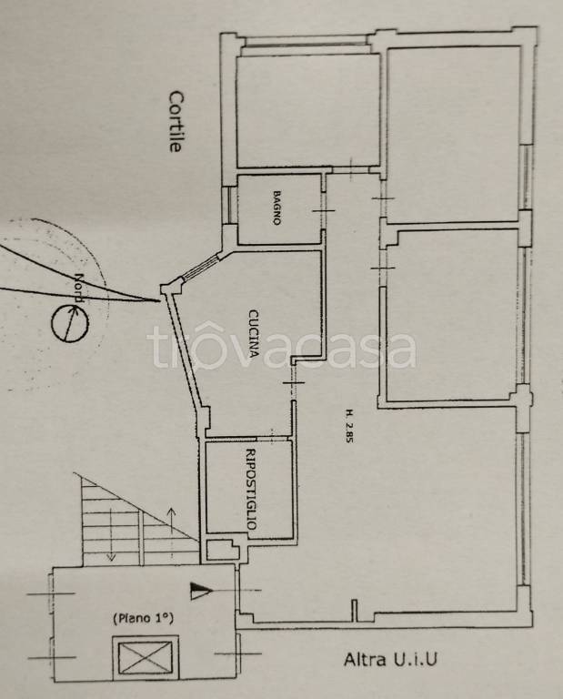 immagine annuncio 12 di 15