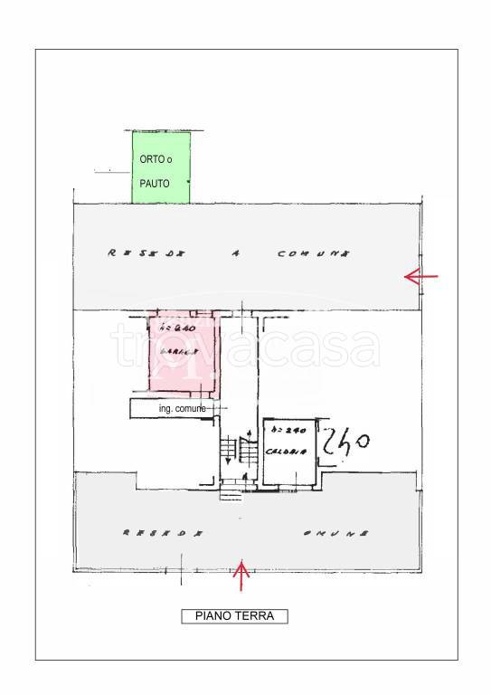 immagine annuncio 12 di 13