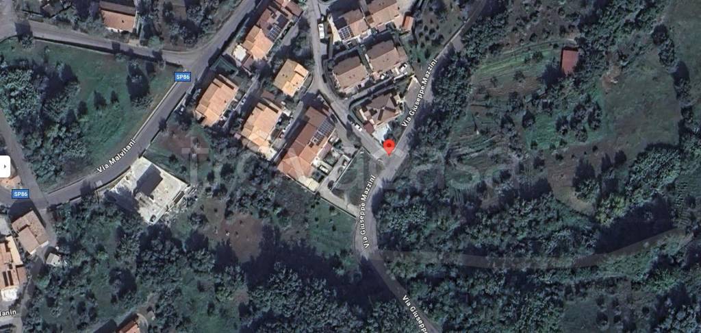 immagine annuncio 12 di 14