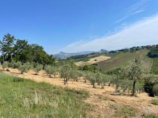Terreno residenziale in vendita a borghi via gessi