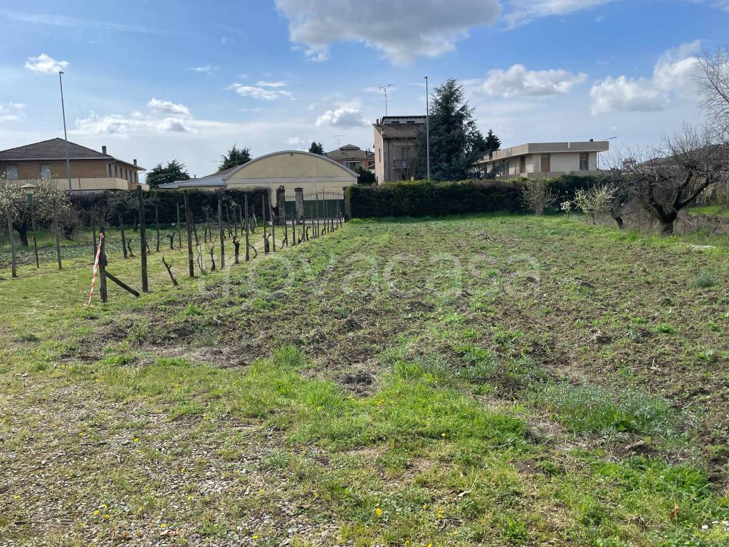 immagine annuncio 4 di 11