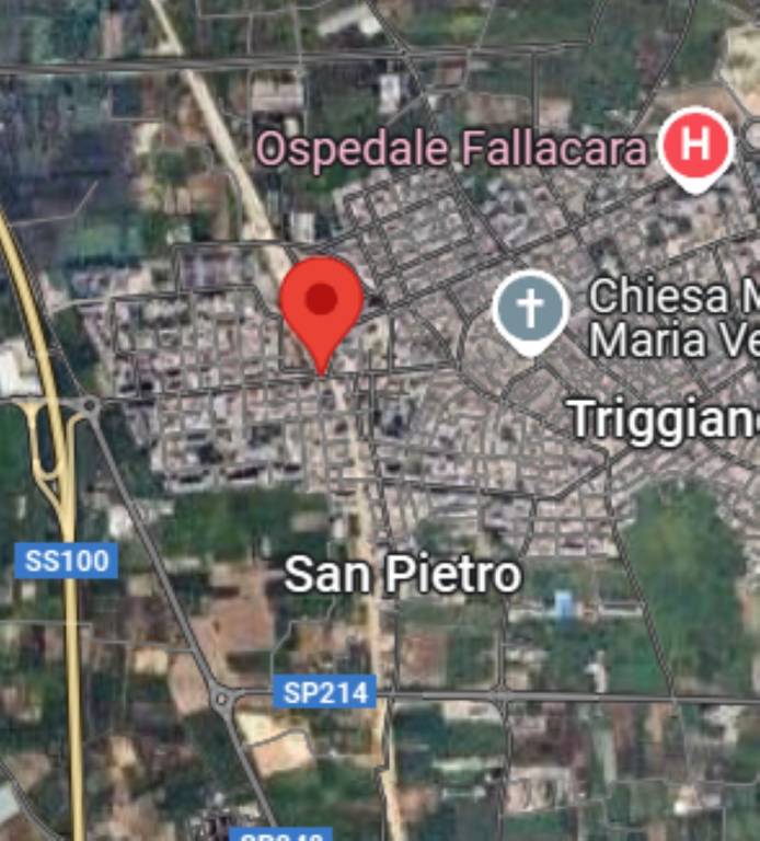 immagine annuncio 3 di 11