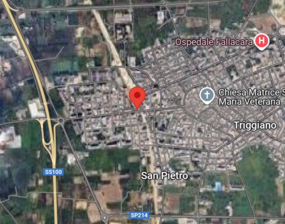 immagine annuncio 4 di 11