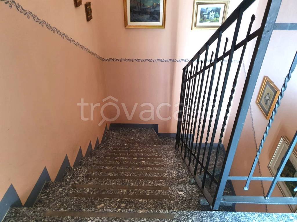immagine annuncio 11 di 14