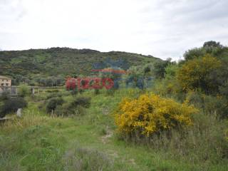 Terreno residenziale in vendita a mandatoriccio loc. cozzo del campanello