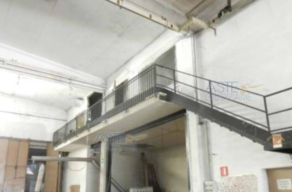 immagine annuncio 9 di 14