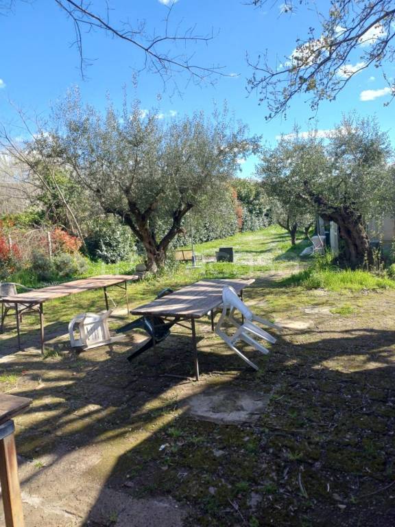immagine annuncio 3 di 11