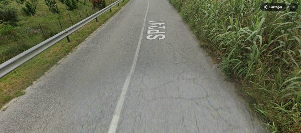 immagine annuncio 3 di 11