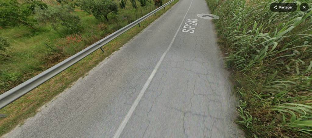 immagine annuncio 6 di 11
