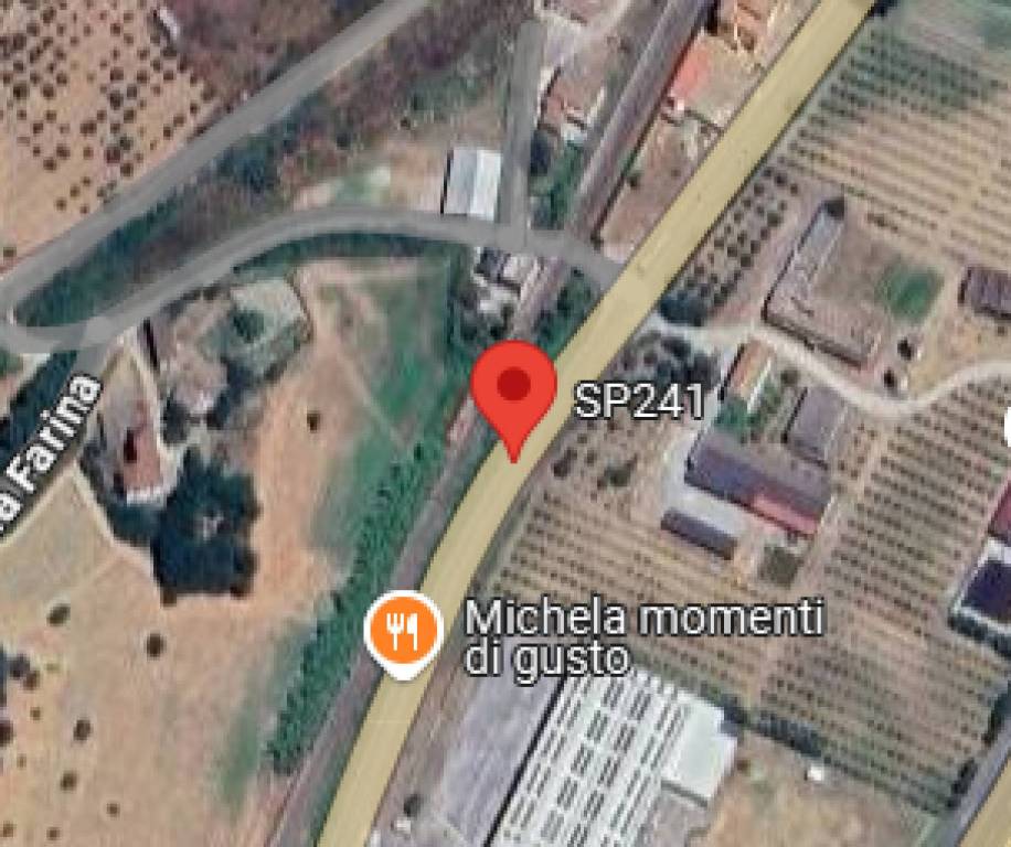 immagine annuncio 9 di 11