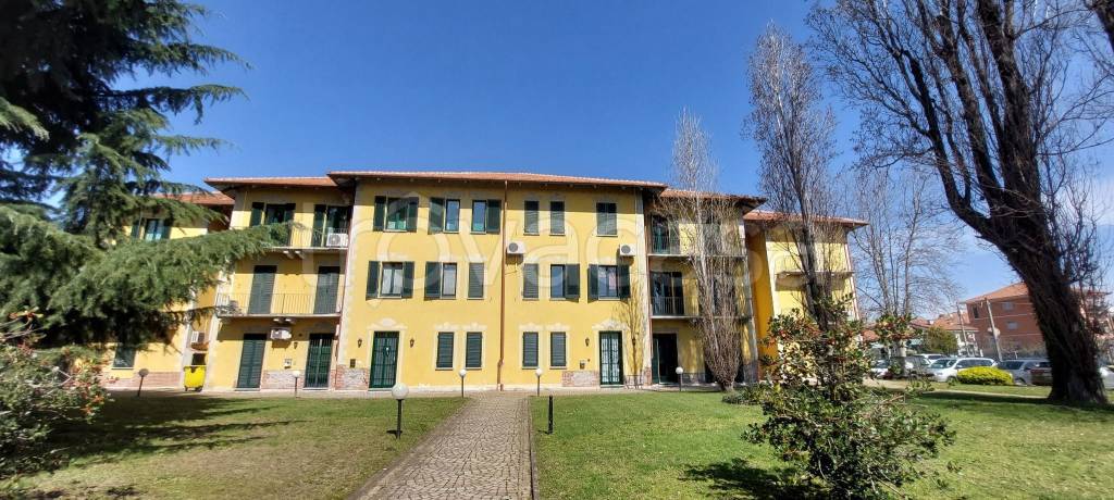 immagine annuncio 4 di 11