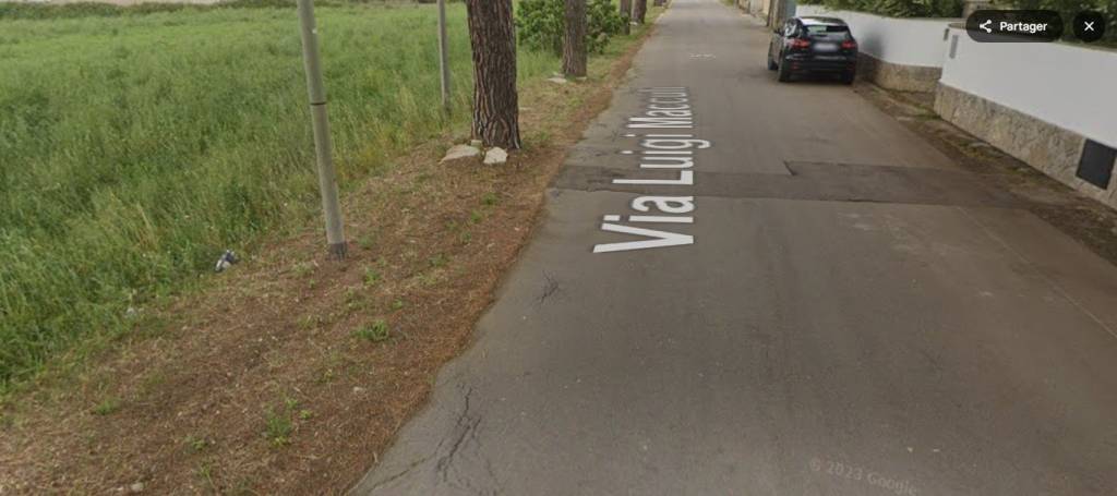 immagine annuncio 10 di 11