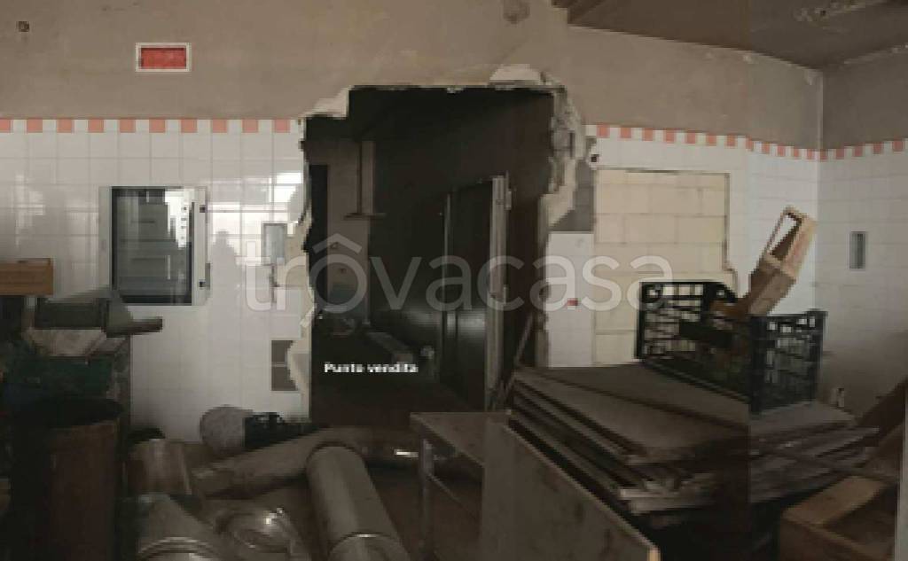immagine annuncio 4 di 11