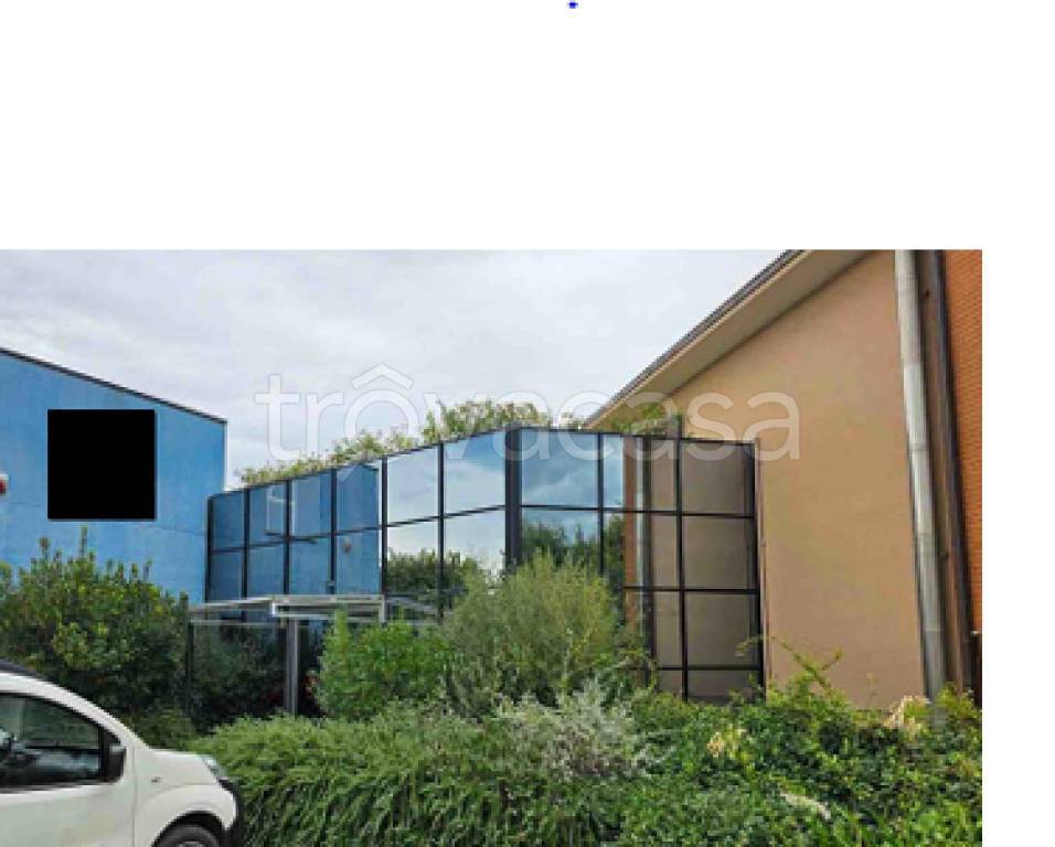 immagine annuncio 9 di 12