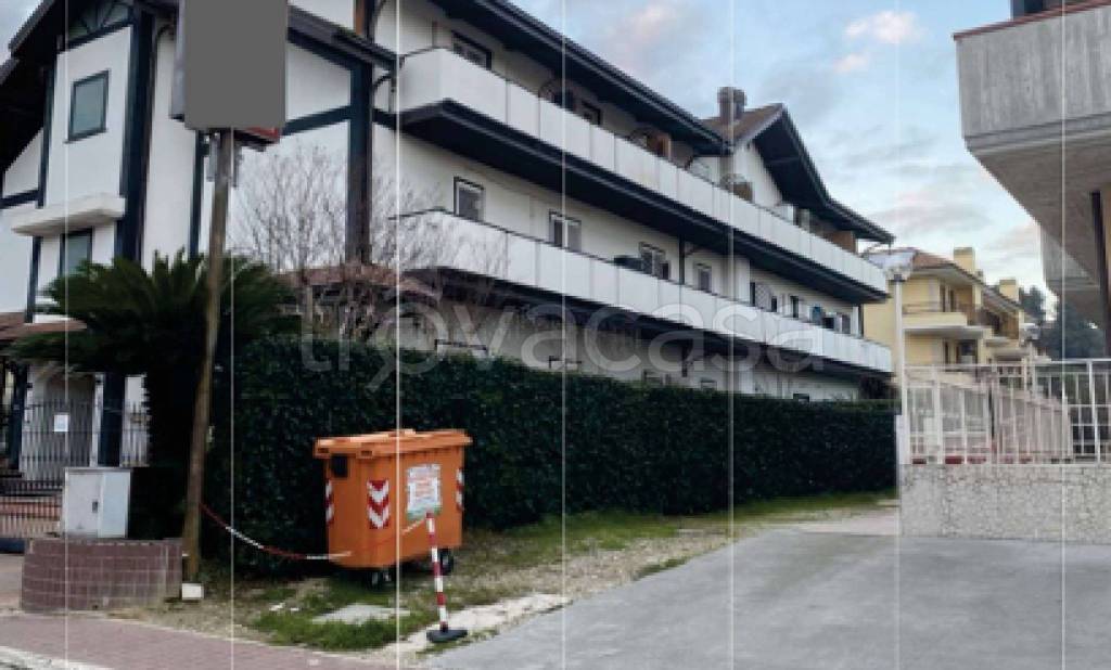 immagine annuncio 3 di 12
